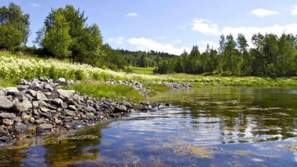 öbversätt